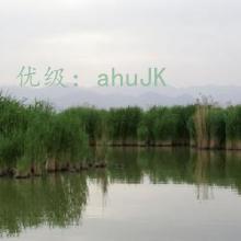 ̬